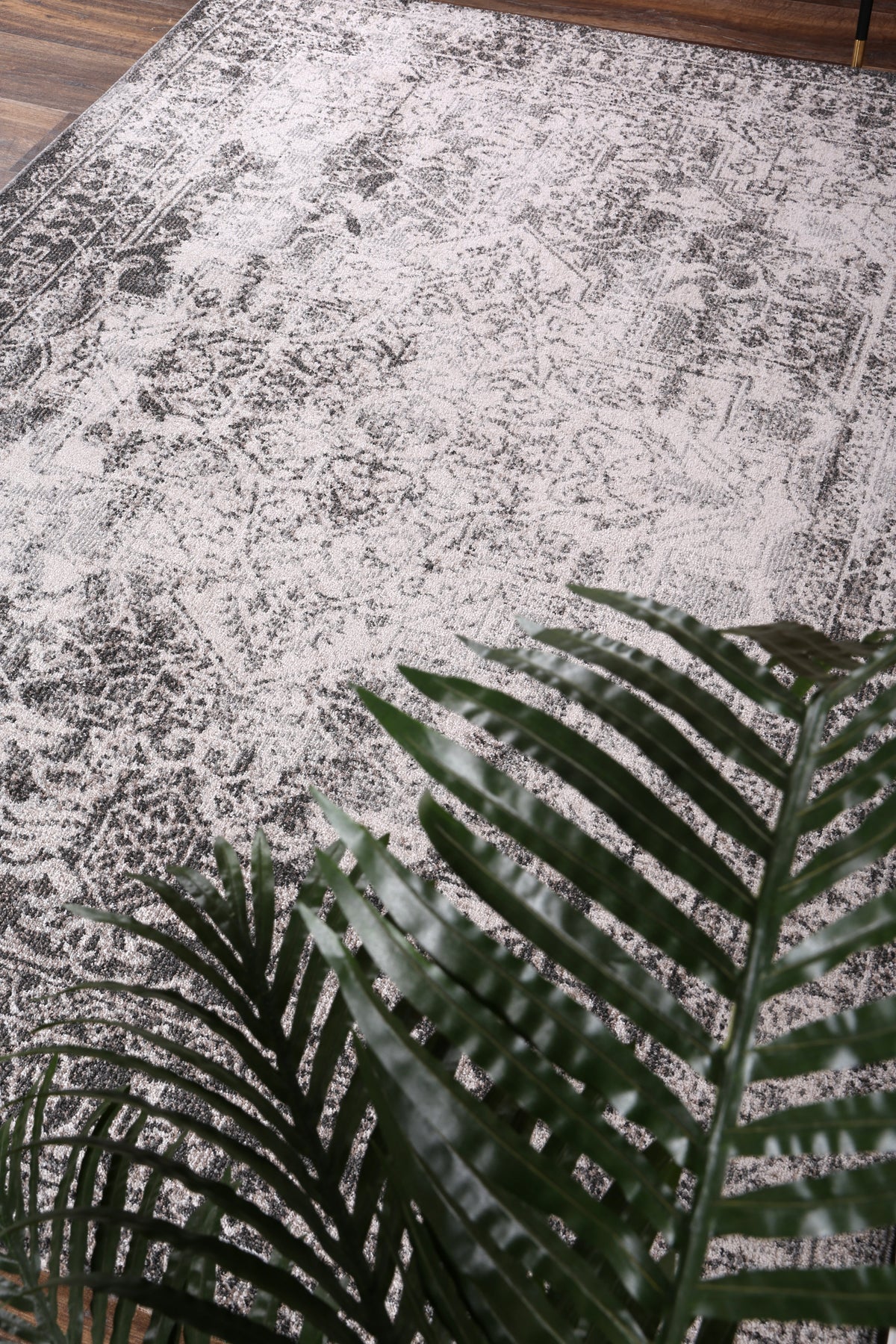 Salsa Carine Ivory &amp; Grey Transitional Rug